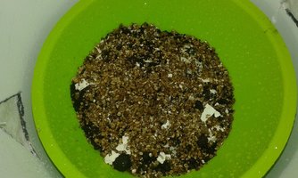 20160511_200244.jpg