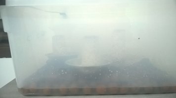 WP_20160511_003.jpg