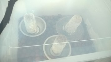 WP_20160511_004.jpg