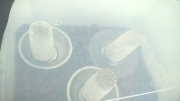 WP_20160511_005.jpg