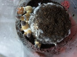 20160509_172227.jpg