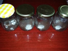 20160512_002913.jpg