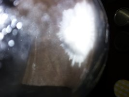 20160512_002939.jpg