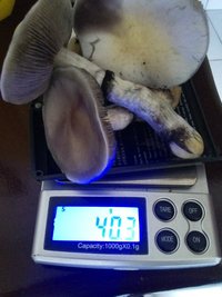CAM01190.jpg