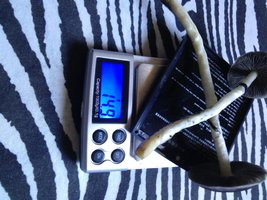 CAM01203.jpg
