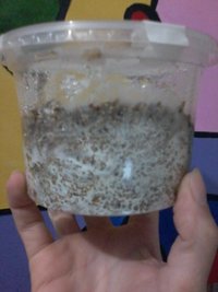 20160512_210656.jpg