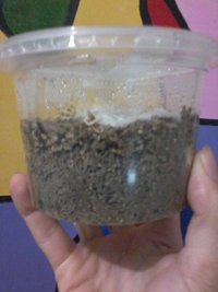 20160512_210715.jpg
