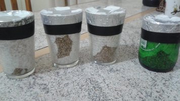 20160512_215545.jpg