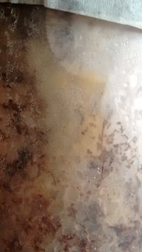 IMG_20160513_134619764.jpg