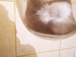 20160513_190216.jpg