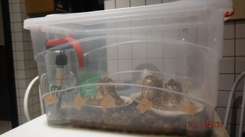 DSCF2237.JPG