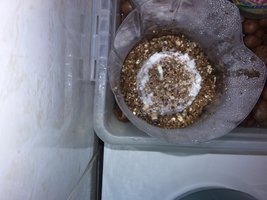 20160513_152422.jpg