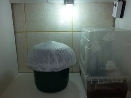 20160513_152329.jpg