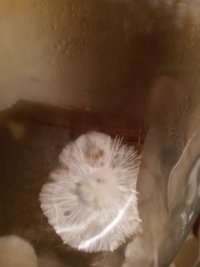 20160514_220445.jpg
