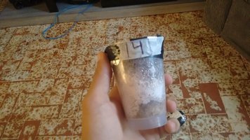IMG_20160515_081624796.jpg