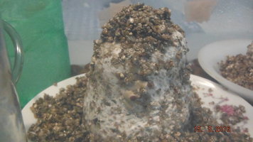 DSCF2239.JPG