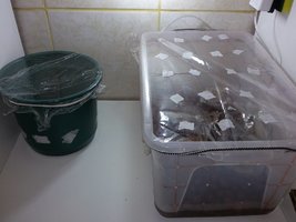 20160515_200155.jpg