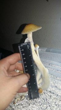 20160516_135953.jpg