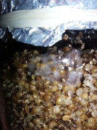 20160516_231324.jpg