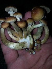 20160517_232226.jpg