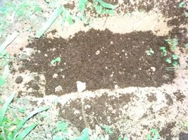 20160516_152235.jpg