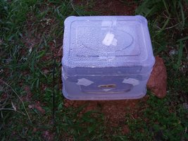 20160516_153610.jpg
