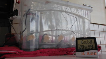 DSCF2253.JPG