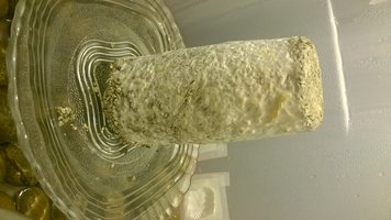 WP_20160519_002.jpg