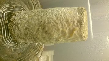 WP_20160519_003.jpg