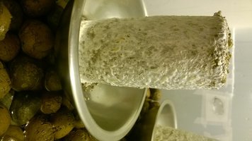 WP_20160519_004.jpg