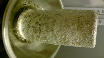 WP_20160519_005.jpg