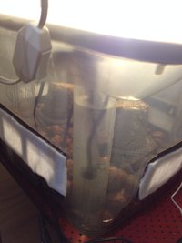 foto 1.JPG