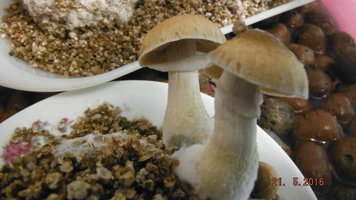 DSCF2275.JPG