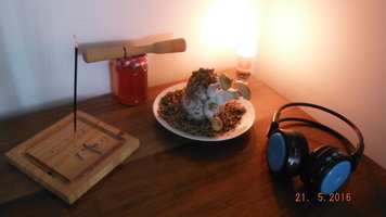 DSCF2285.JPG
