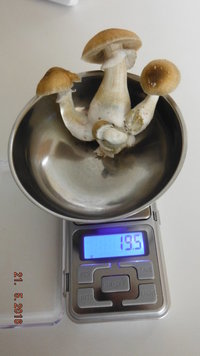 DSCF2287.JPG