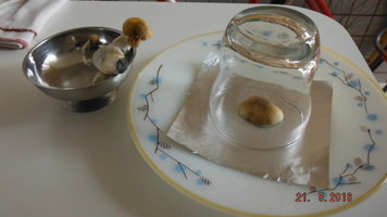 DSCF2288.JPG