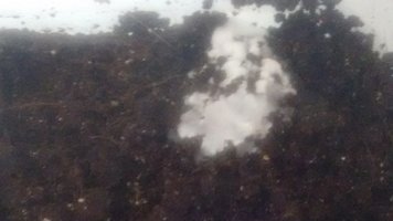 IMG_20160523_072437000.jpg