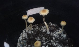 20160521_081339.jpg