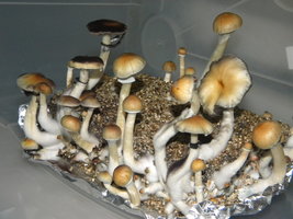 DSCN0796.JPG