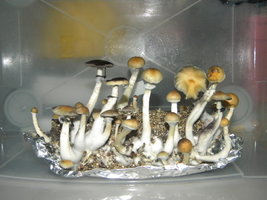 DSCN0798.JPG
