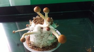 20160523_122429.jpg