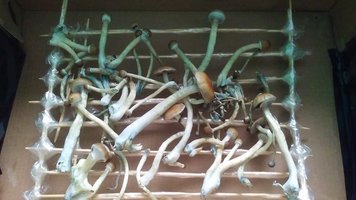 20160524_131822.jpg