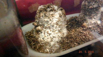 DSCF2298.JPG