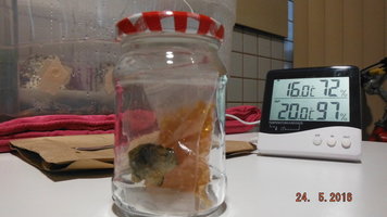 DSCF2297.JPG