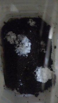 IMG_20160524_192145534.jpg