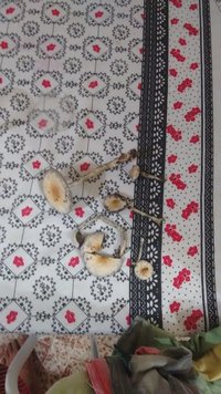 IMG_20160524_192801810.jpg