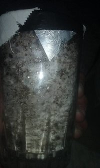 P2.jpg P2.jpg