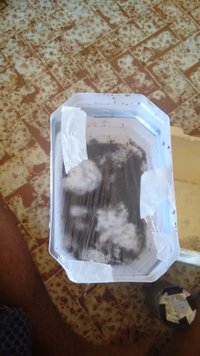 IMG_20160526_070700240.jpg