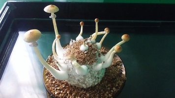 20160527_121809.jpg