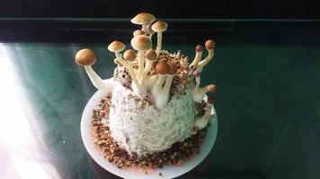 20160527_122131.jpg